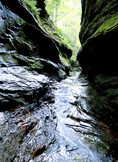 Rocky Hollow at Turkey Run State Park